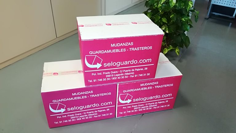 WhatsApp Image 2017 09 21 at 11.10.00 768x433